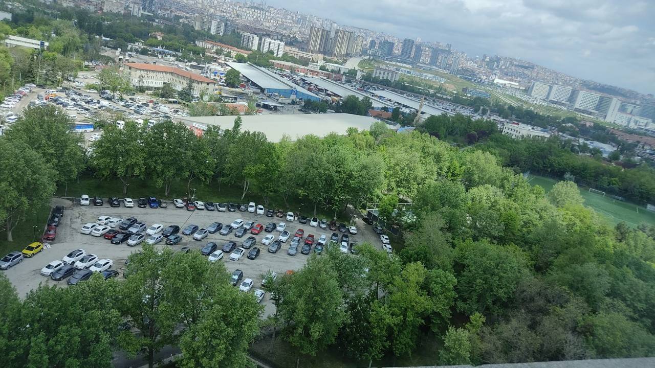 AVM Trafiğine Çözüm: Ağaç Kesmek Ne Kadar Mantıklı?