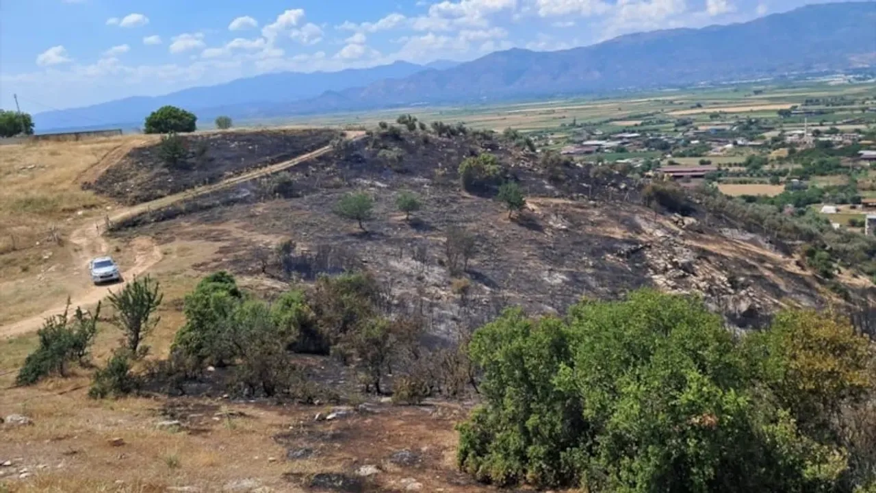 Aydın’da Makilik ve Zeytinlik Alanda Yangın Alarmı!