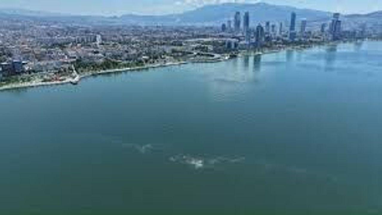 İzmir Körfezi’nde 14. Kirlilik Alarmı: Yetkililer Harekete Geçmeli!